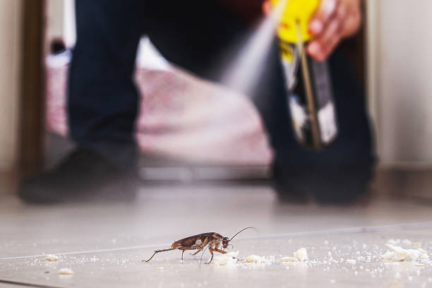 Best Best Pest Control Companies  in Abingdon, IL